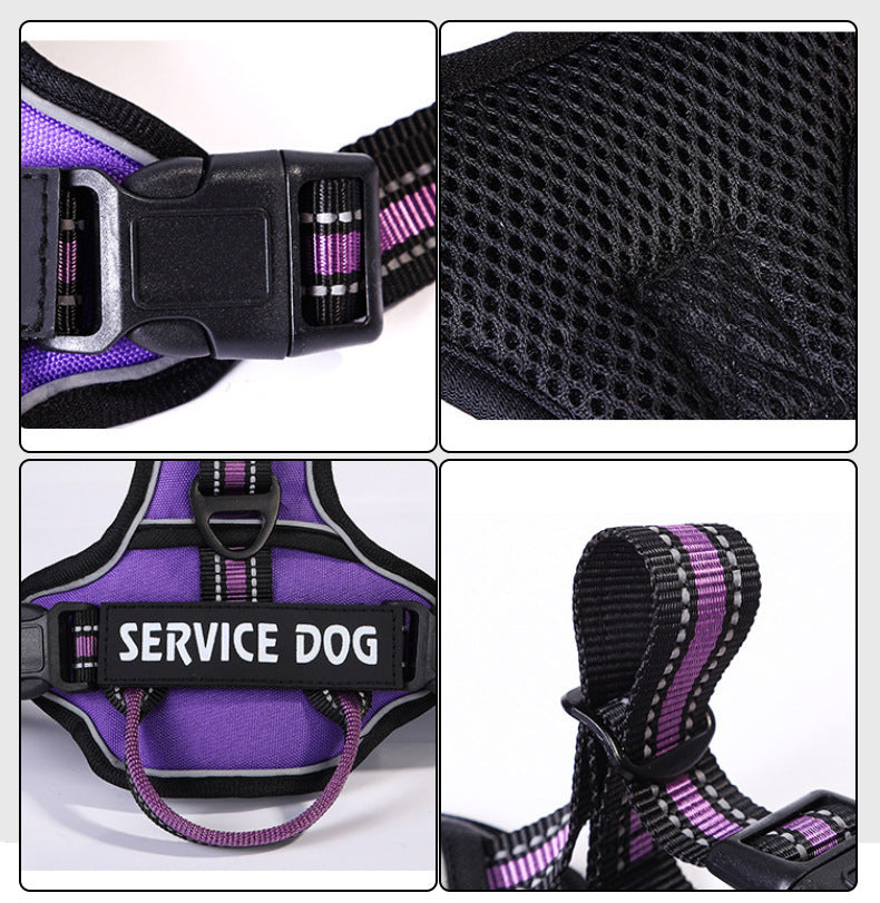 Harnais pour chien personnalisé