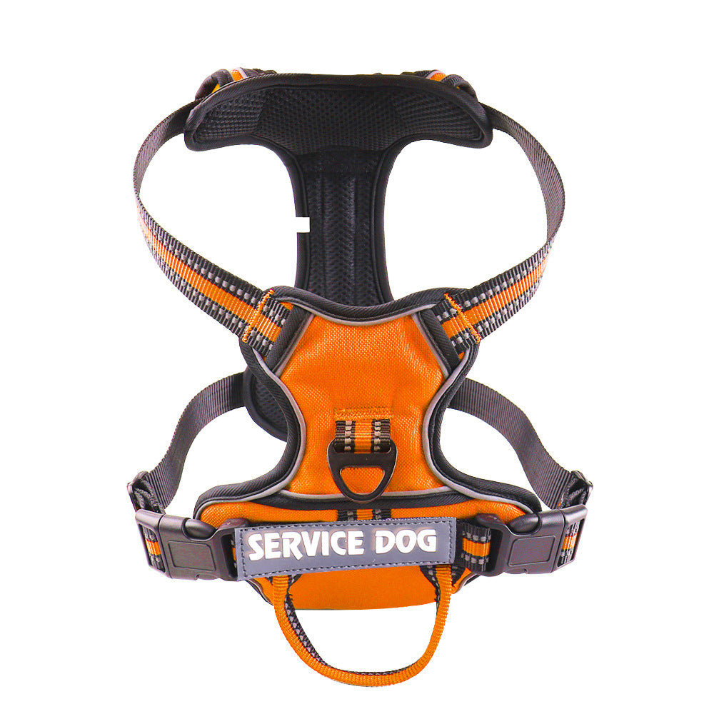 Harnais pour chien personnalisé
