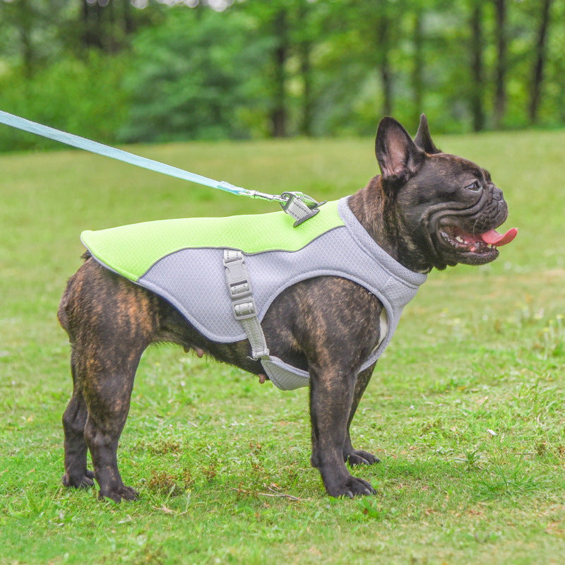 Harnais rafraîchissant "Freezer" pour chien