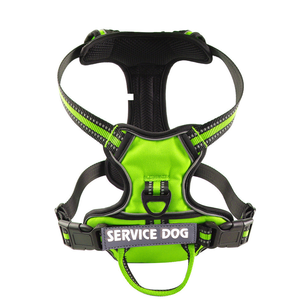 Harnais pour chien personnalisé