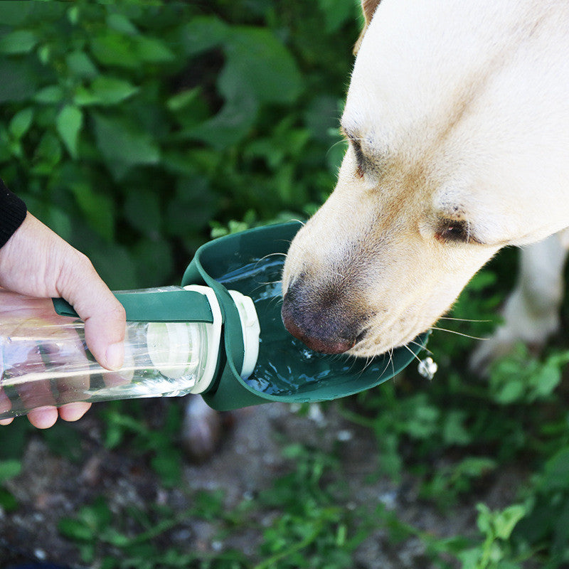 Gourde "Felicita" 2 en 1 pour chien