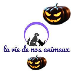 la vie de nos animaux