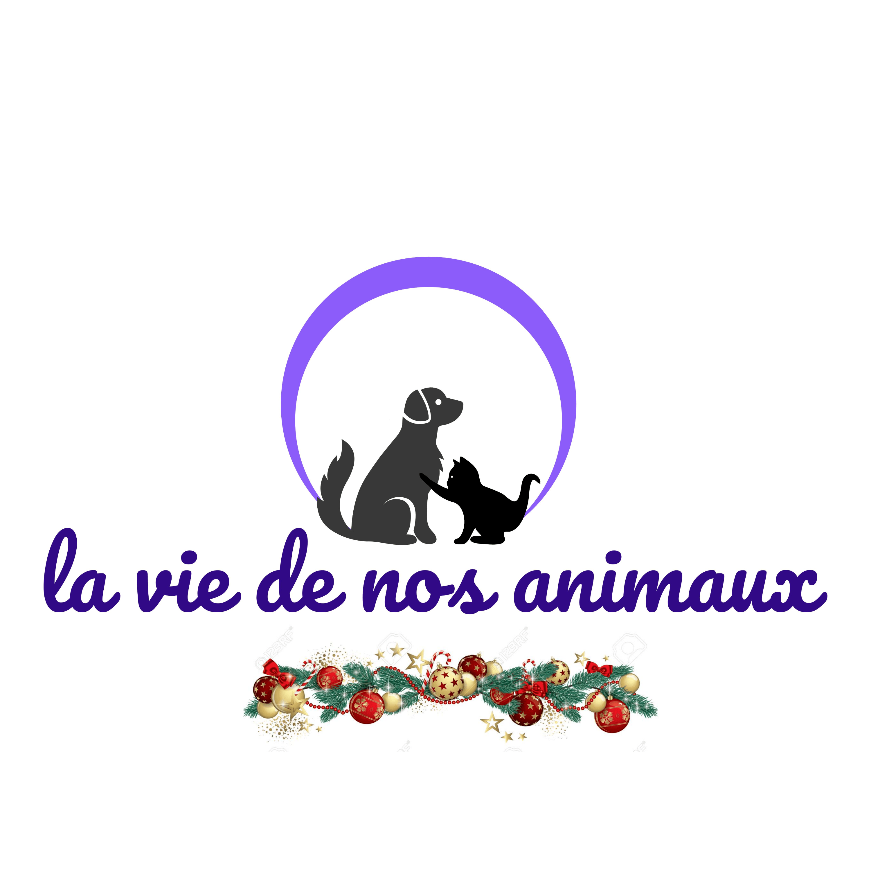Boutique de vêtements et accessoires pour chien la vie de nos animaux