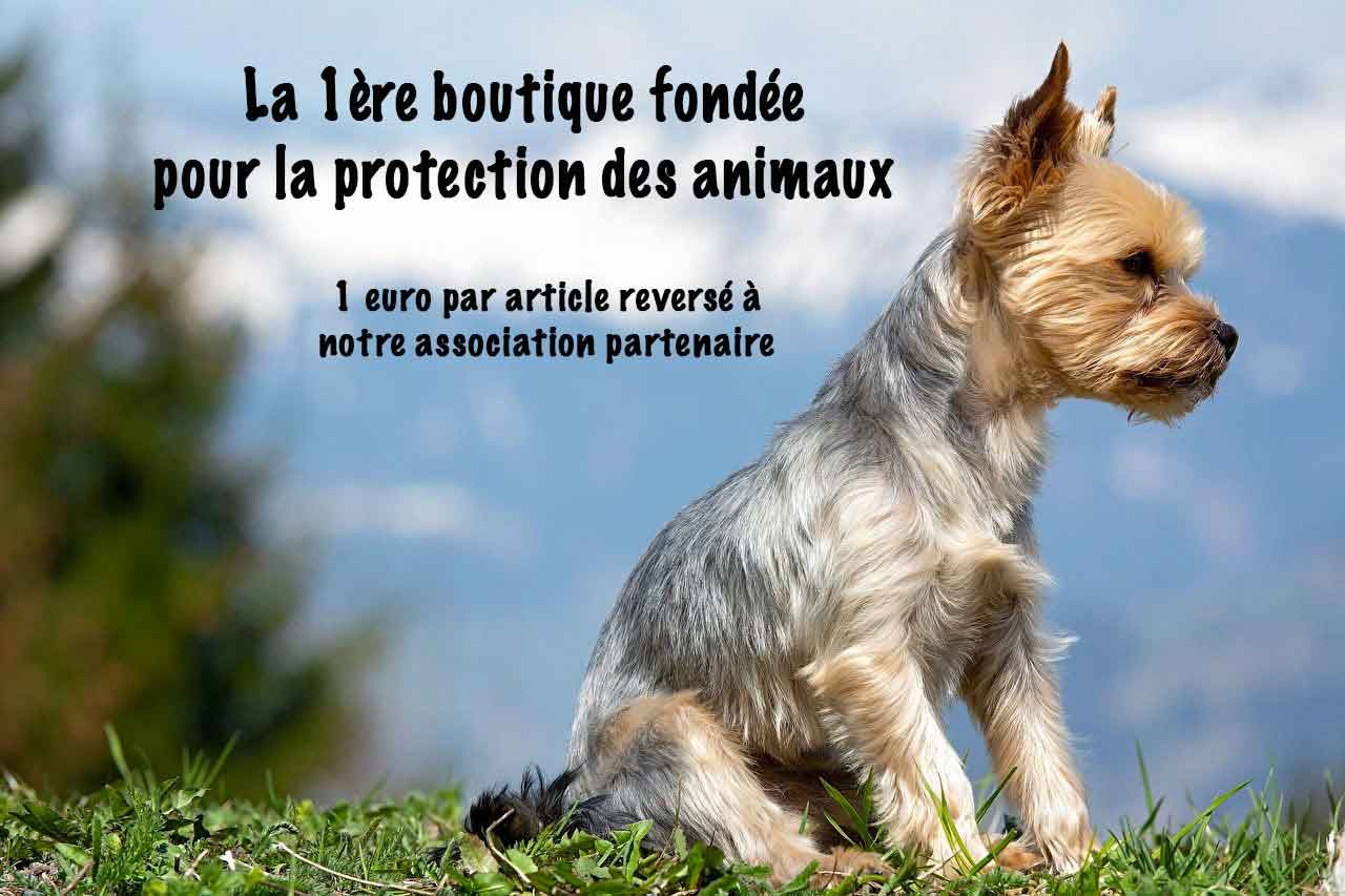 Boutique de vêtements et accessoires pour chien la vie de nos animaux