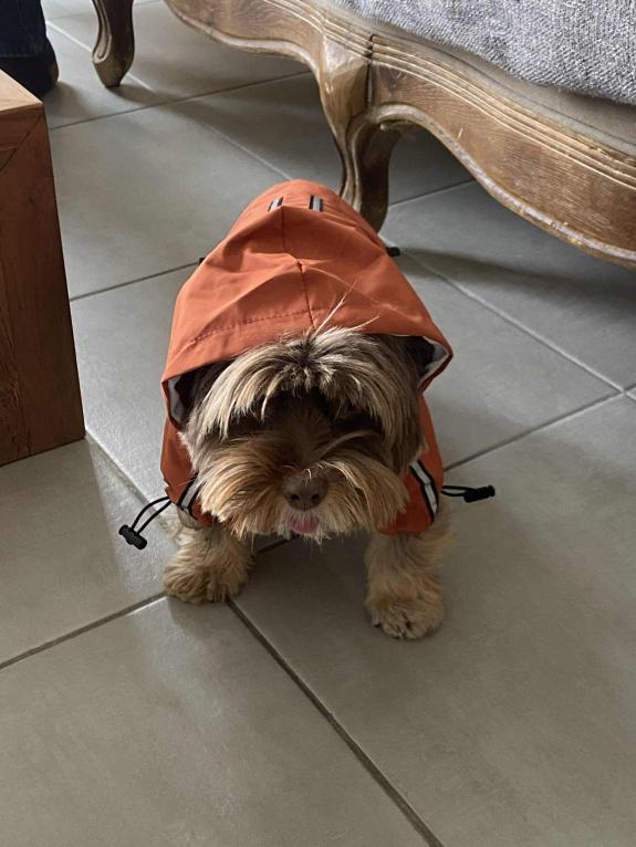 Imperméable pour chien Made in France