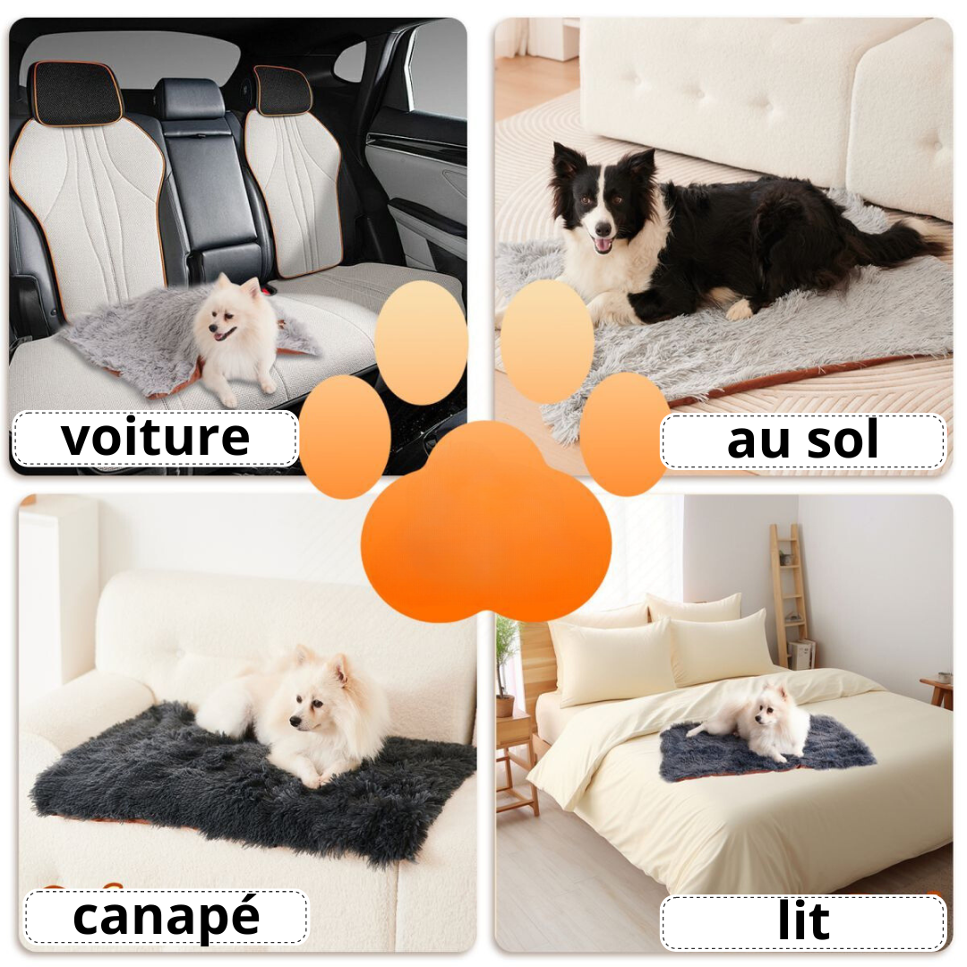 Couverture "Ambre"
