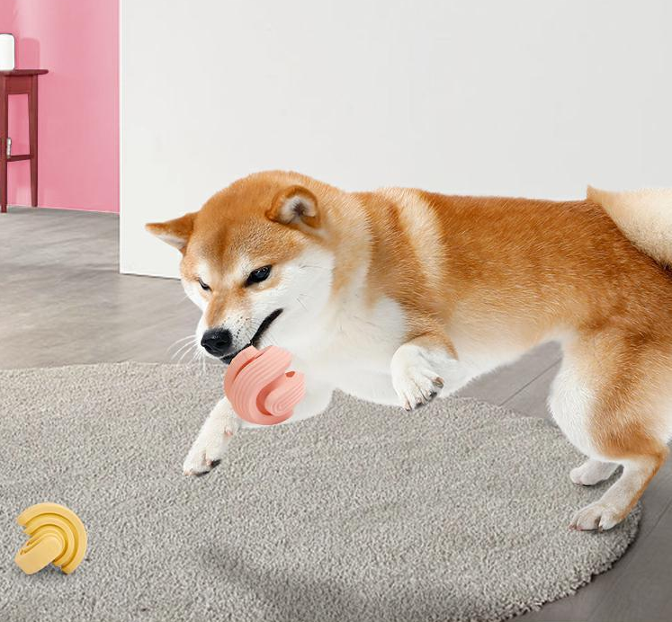 Balle rebondissante en caoutchouc pour chien - la vie de nos animaux