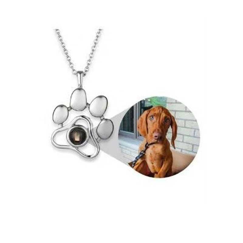 collier photo chien en souvenir