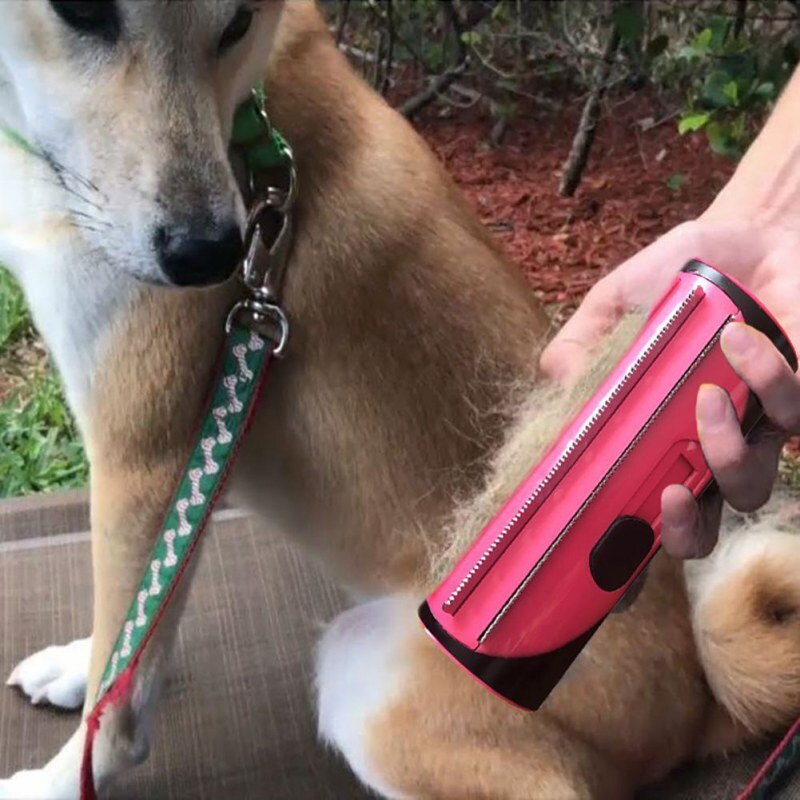 Brosse "My dog" - la vie de nos animaux
