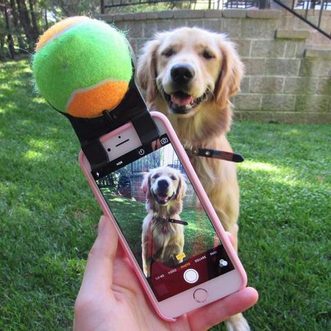 Selfie ball - la vie de nos animaux