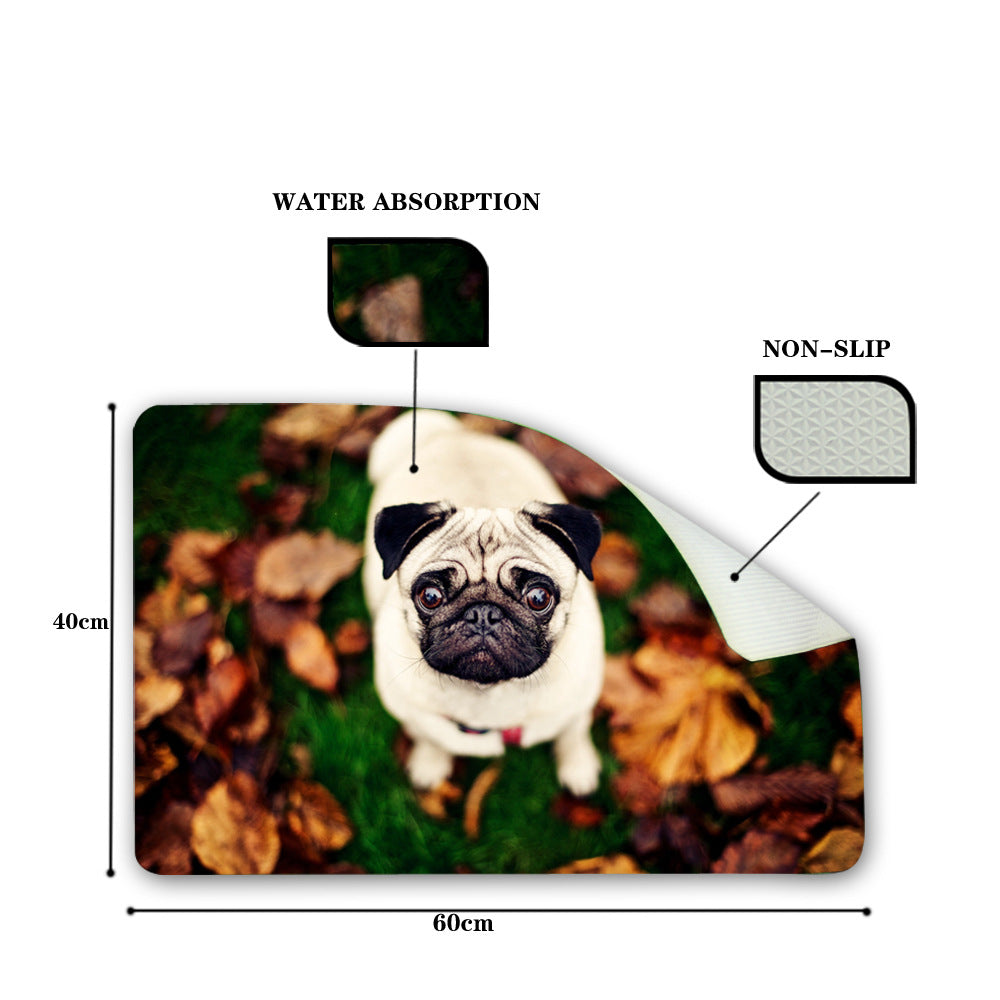 Pattern custom floor mat office living room non-slip door mat foot pad - la vie de nos animaux