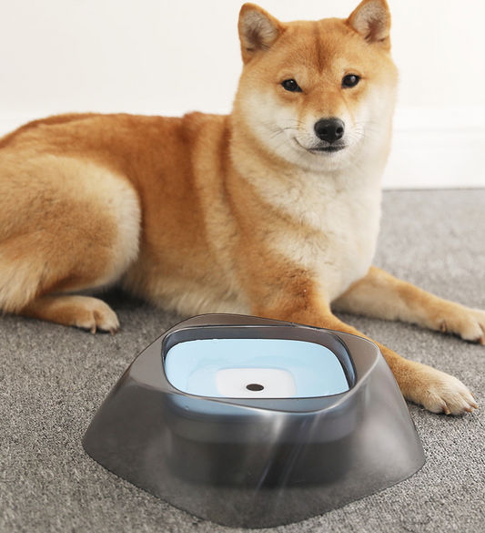 Gamelle pour chien "Oda" - la vie de nos animaux