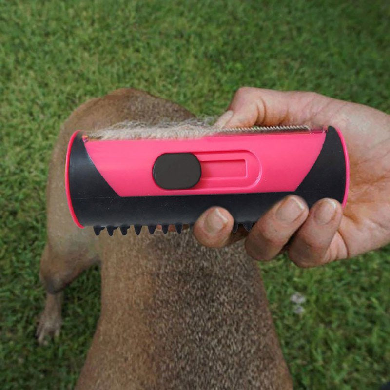 Brosse "My dog" - la vie de nos animaux