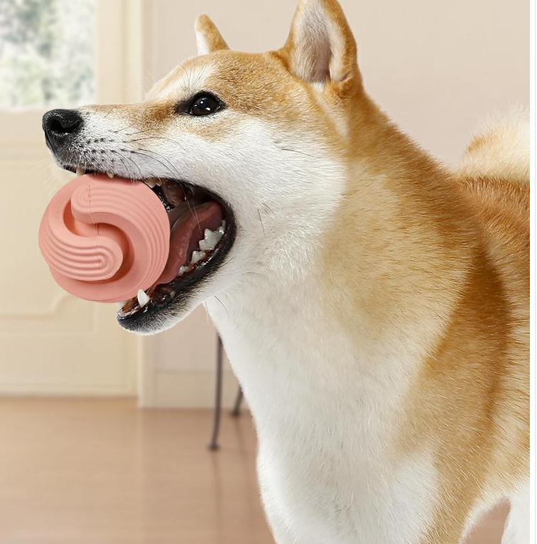 Balle rebondissante en caoutchouc pour chien - la vie de nos animaux