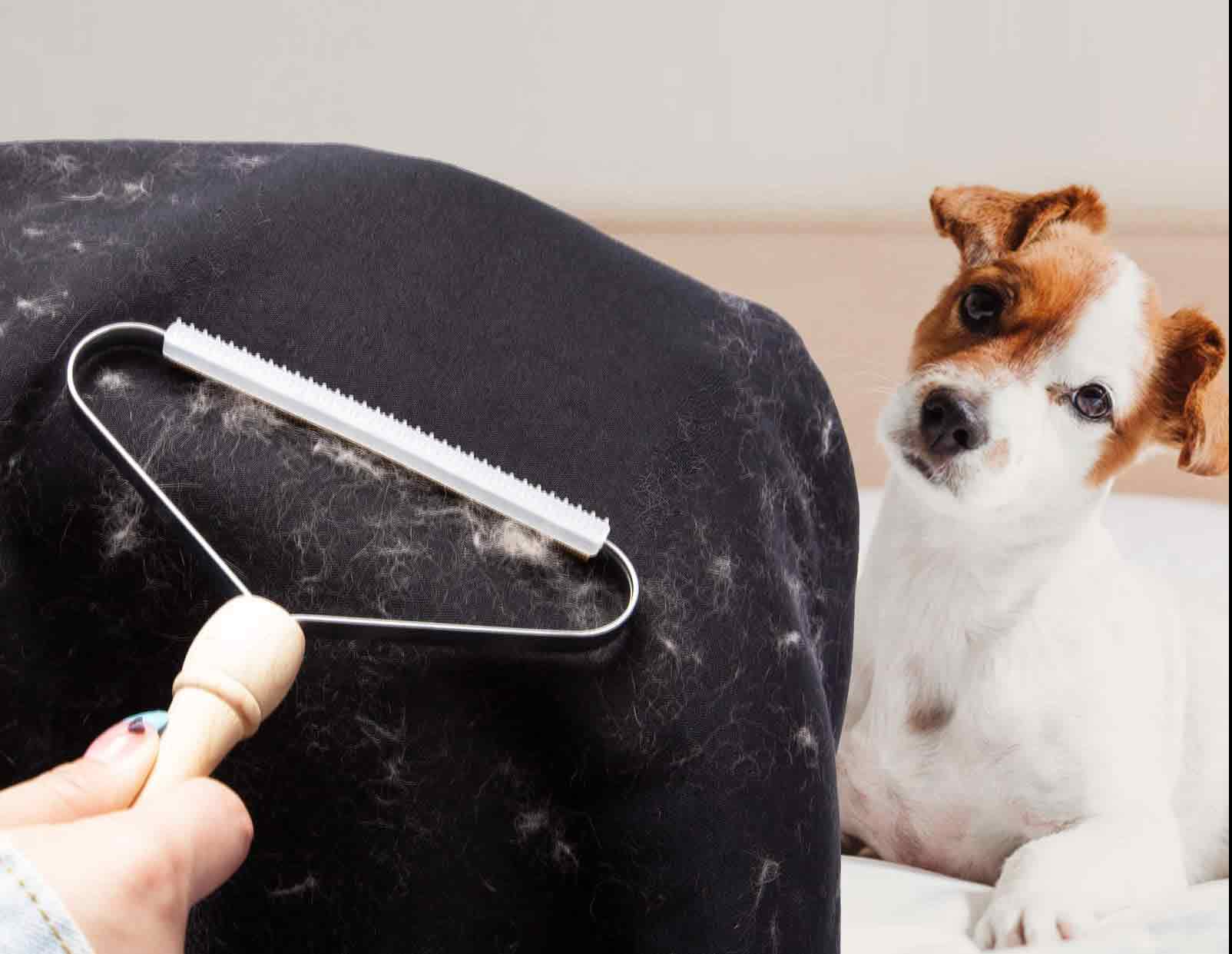 Brosse "Stop poils" ( 1 achetée = 1 offerte ) - la vie de nos animaux