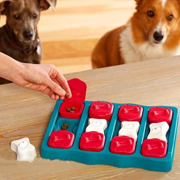 Boîte de jeux pour chien - Vert - Home & Garden Furniture / Pet Products / Dog Supplies