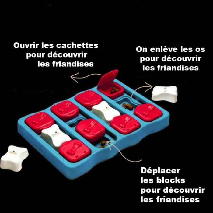 jeu pour chien manger lentement
