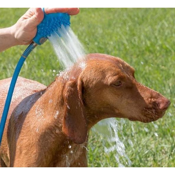 brosse douche pour chien forte chaleur