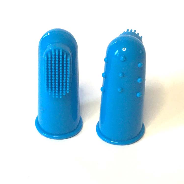 brosse à dents pour chien - la vie de nos animaux