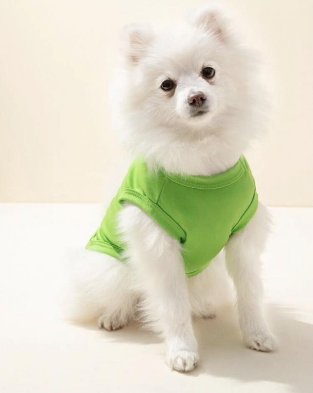 débardeur "Dulce" pour chien - la vie de nos animaux
