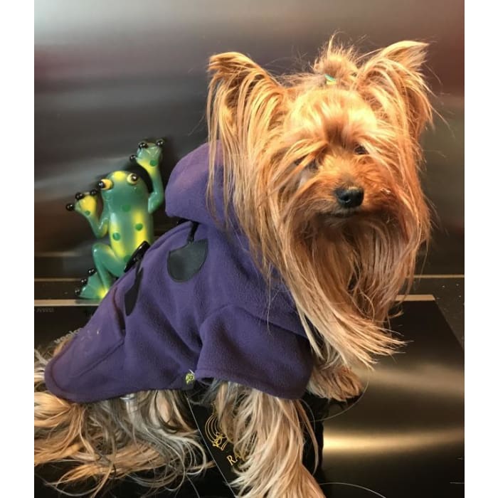 duffle coat - la vie de nos animaux