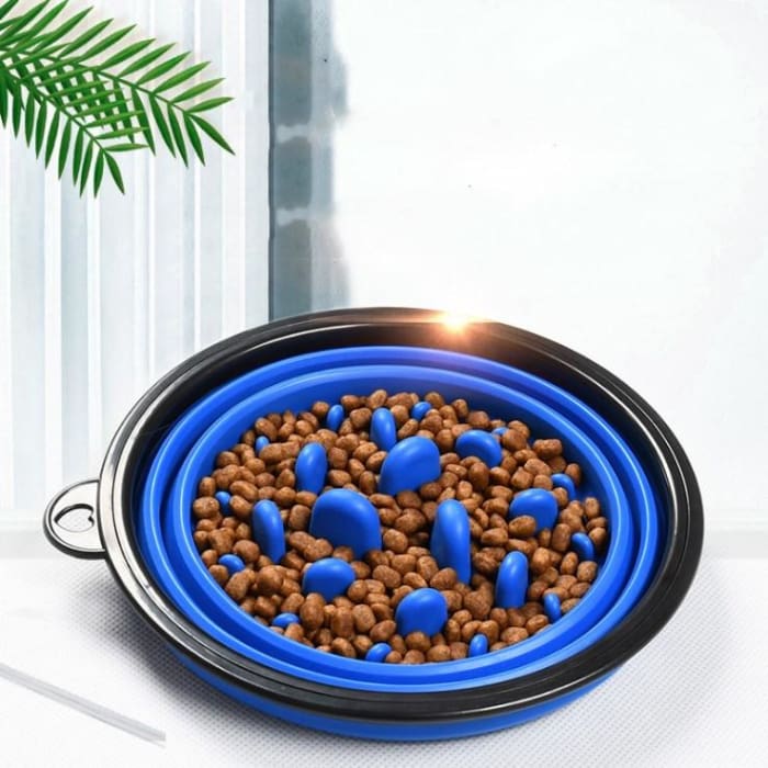 Gamelle spéciale digestion - Home & Garden Furniture / Pet Products / Dog Supplies