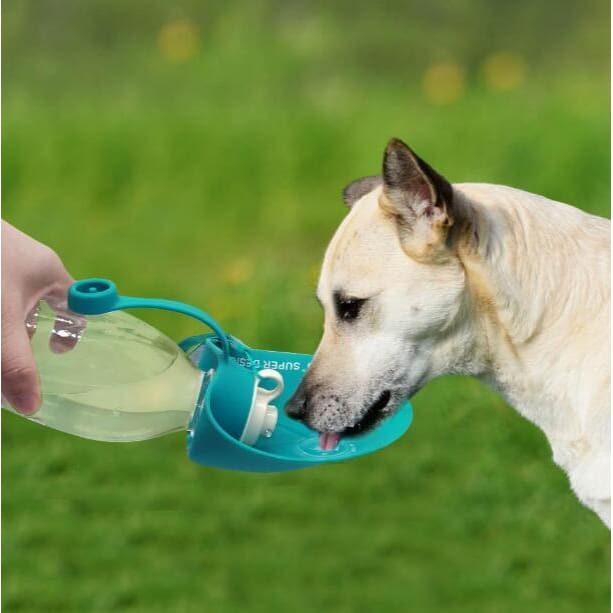 Gourde pour chien Leaf - Home & Garden Furniture / Pet Products / Dog Supplies