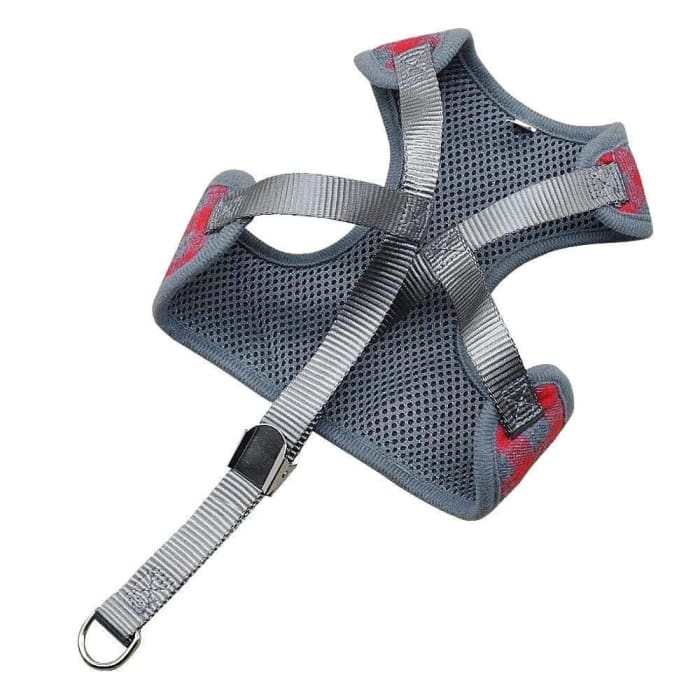 Harnais noeud pap’ - Home & Garden Furniture / Pet Products / Dog Supplies