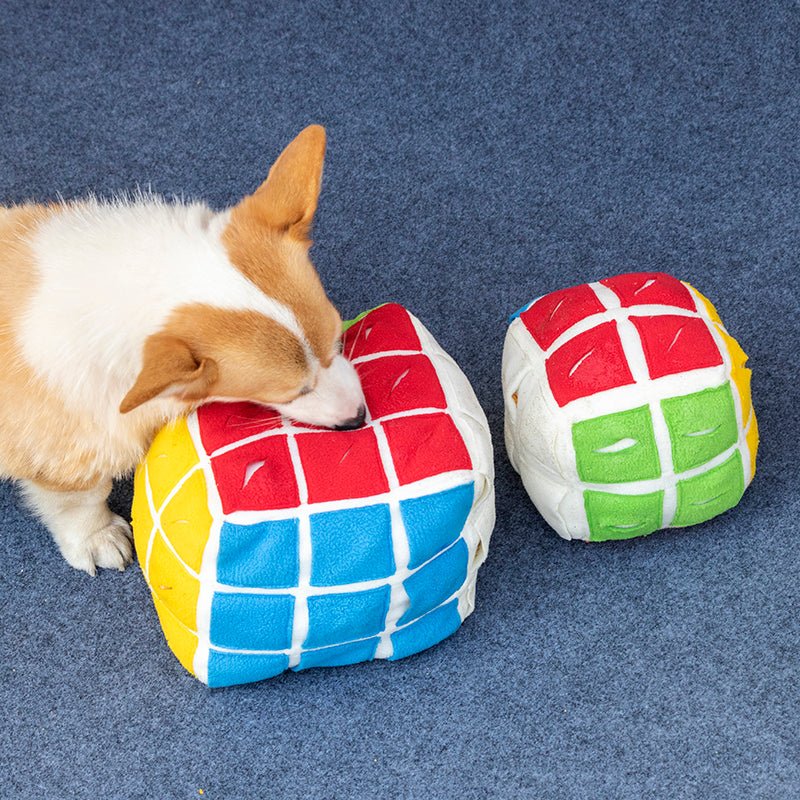 Jouet Rubik's cube pour chien - la vie de nos animaux
