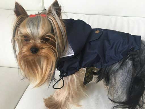 K-way pour chien Made in France - la vie de nos animaux