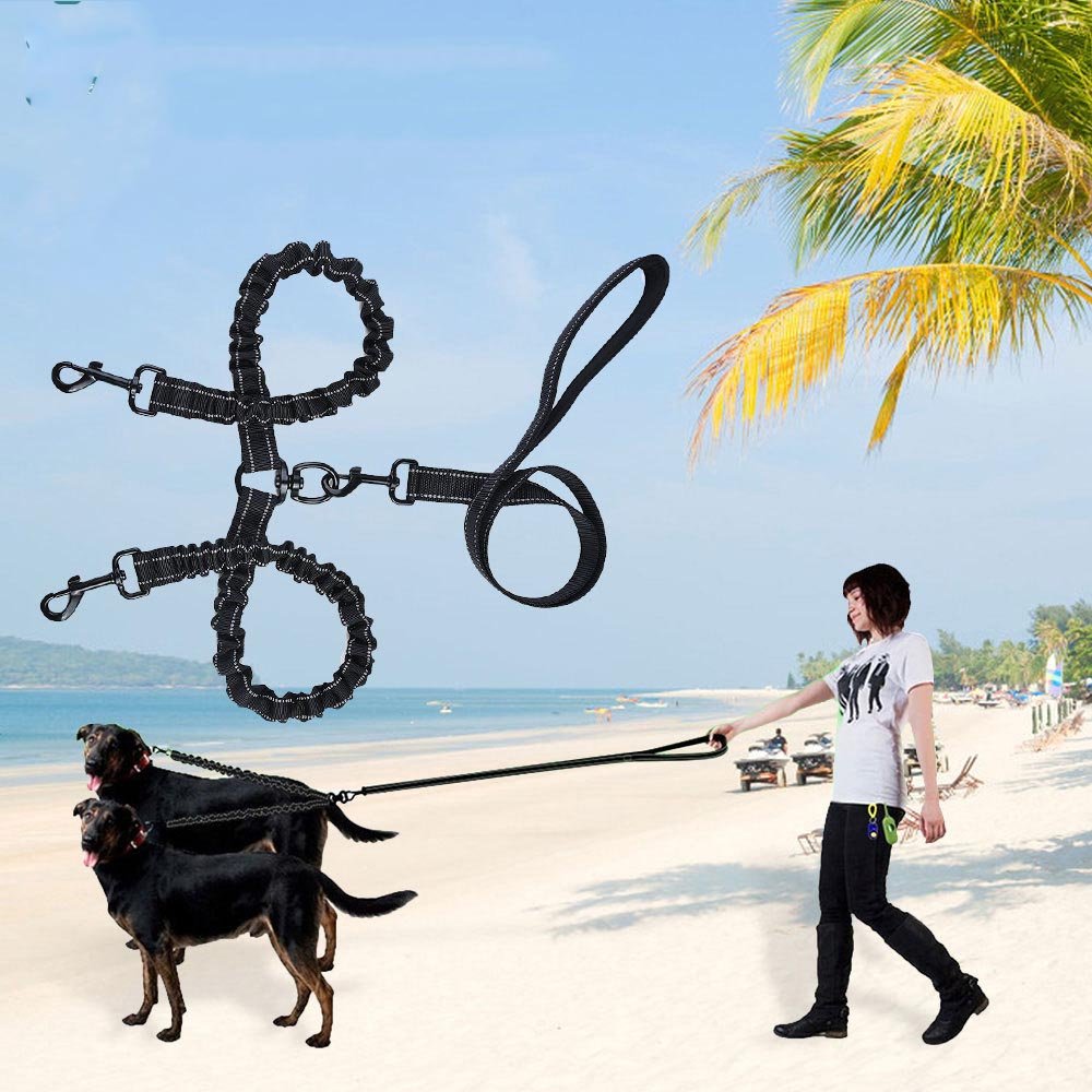 Laisse double pour 2 chiens - la vie de nos animaux
