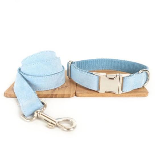 Laisse et collier " Ice " - la vie de nos animaux