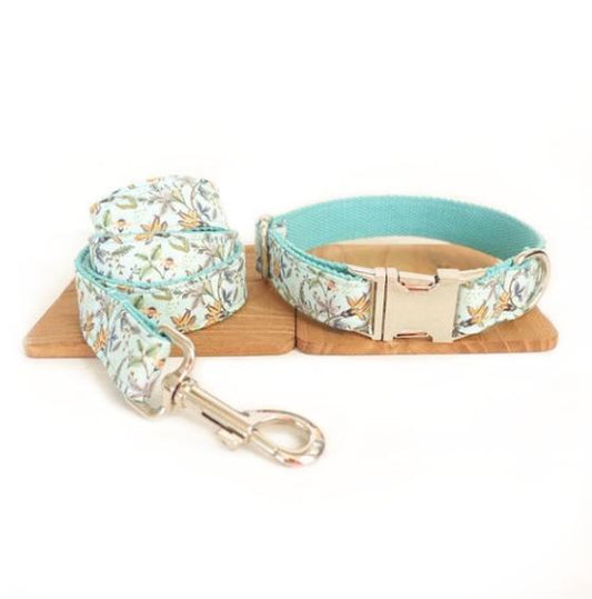 Laisse et collier " Lucia " - la vie de nos animaux