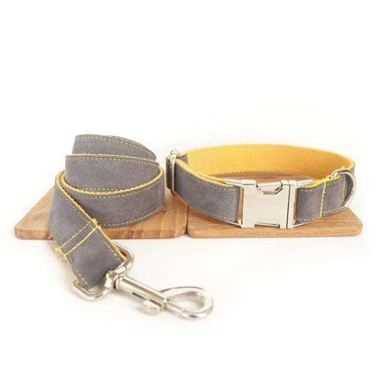Laisse et collier " Maya " - la vie de nos animaux