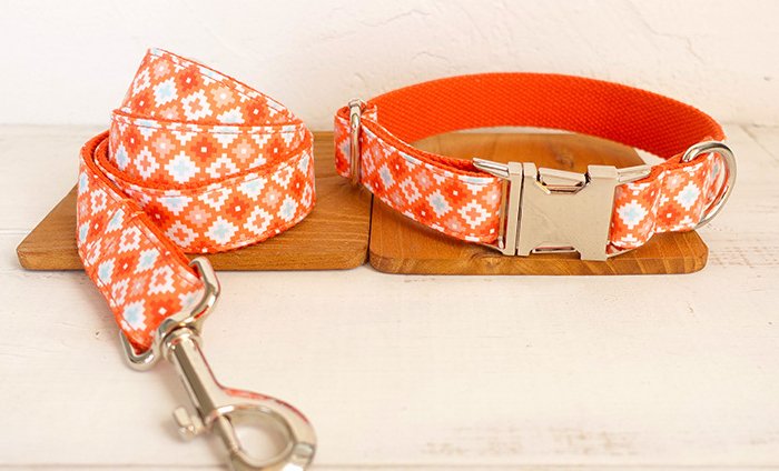 Laisse et collier " Mia " - la vie de nos animaux