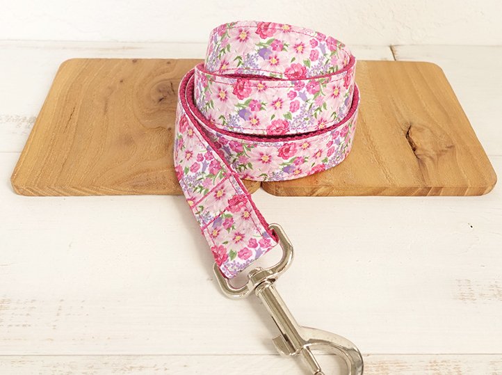 Laisse et collier " Rosa " - la vie de nos animaux