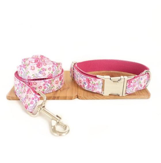 Laisse et collier " Rosa " - la vie de nos animaux