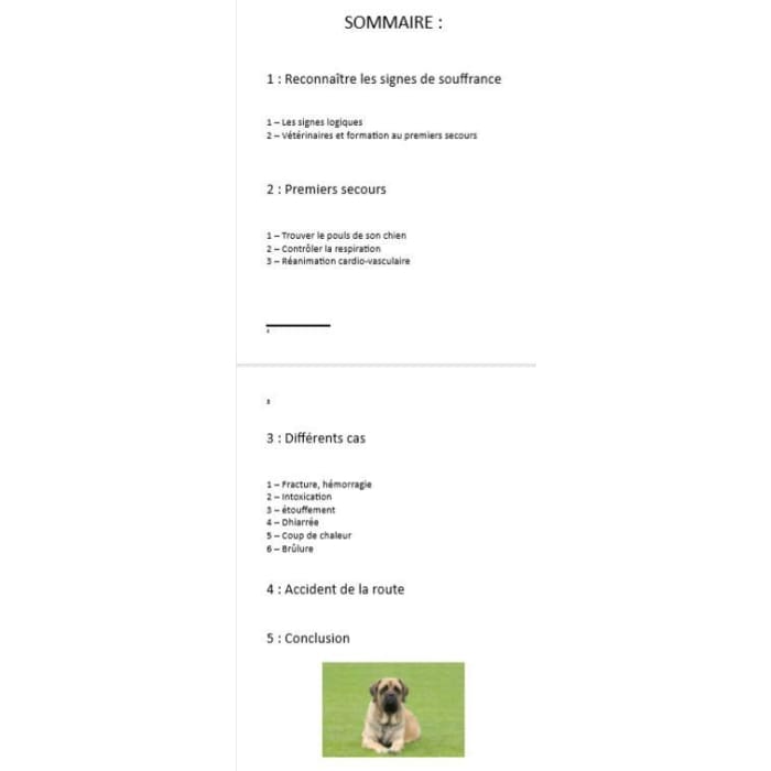 Livre numérique "Premiers gestes de secours canins" - la vie de nos animaux