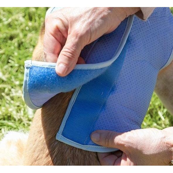 Pack spécial été (Lot de 3 articles)