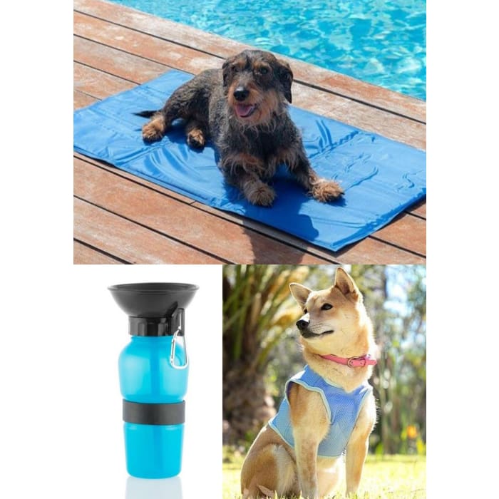 Pack spécial été (Lot de 3 articles)