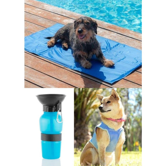 Pack spécial été (Lot de 3 articles)