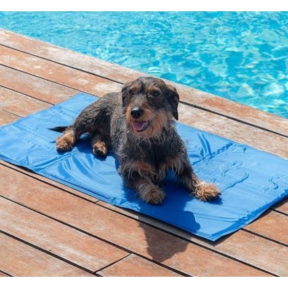 Pack spécial été (Lot de 3 articles)