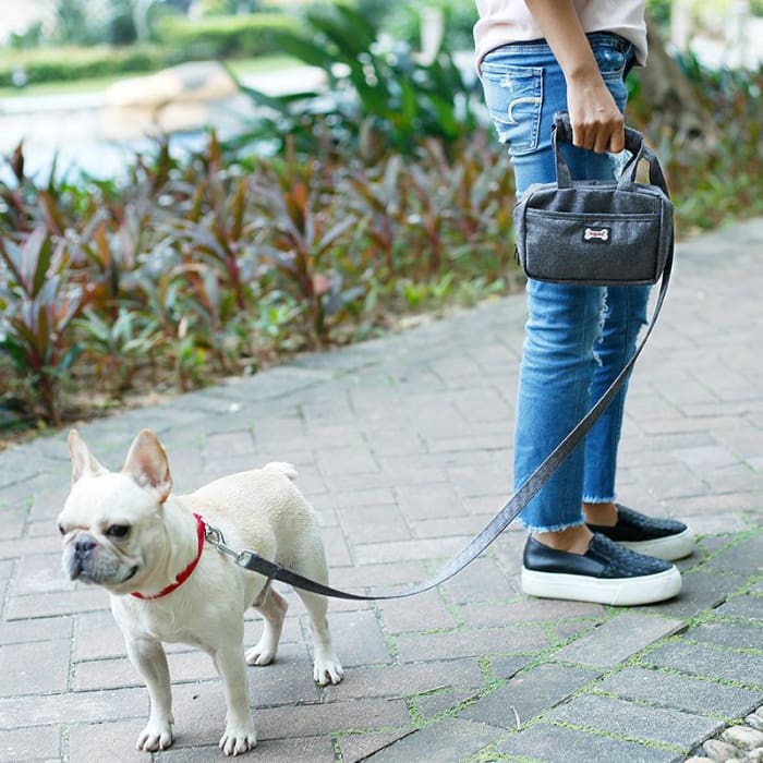 sac et laisse pour balade avec petit chien