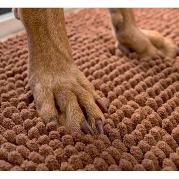 nettoyage des pattes du chien-tapis absorbant